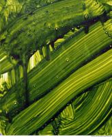 paint splatter green 0028